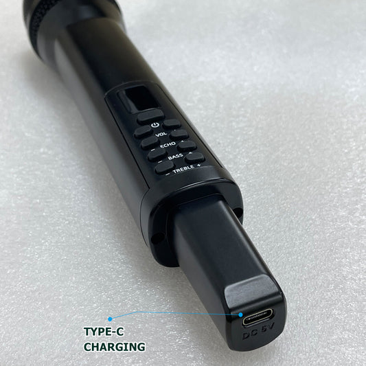 Microphone sans fil double canal rechargeable